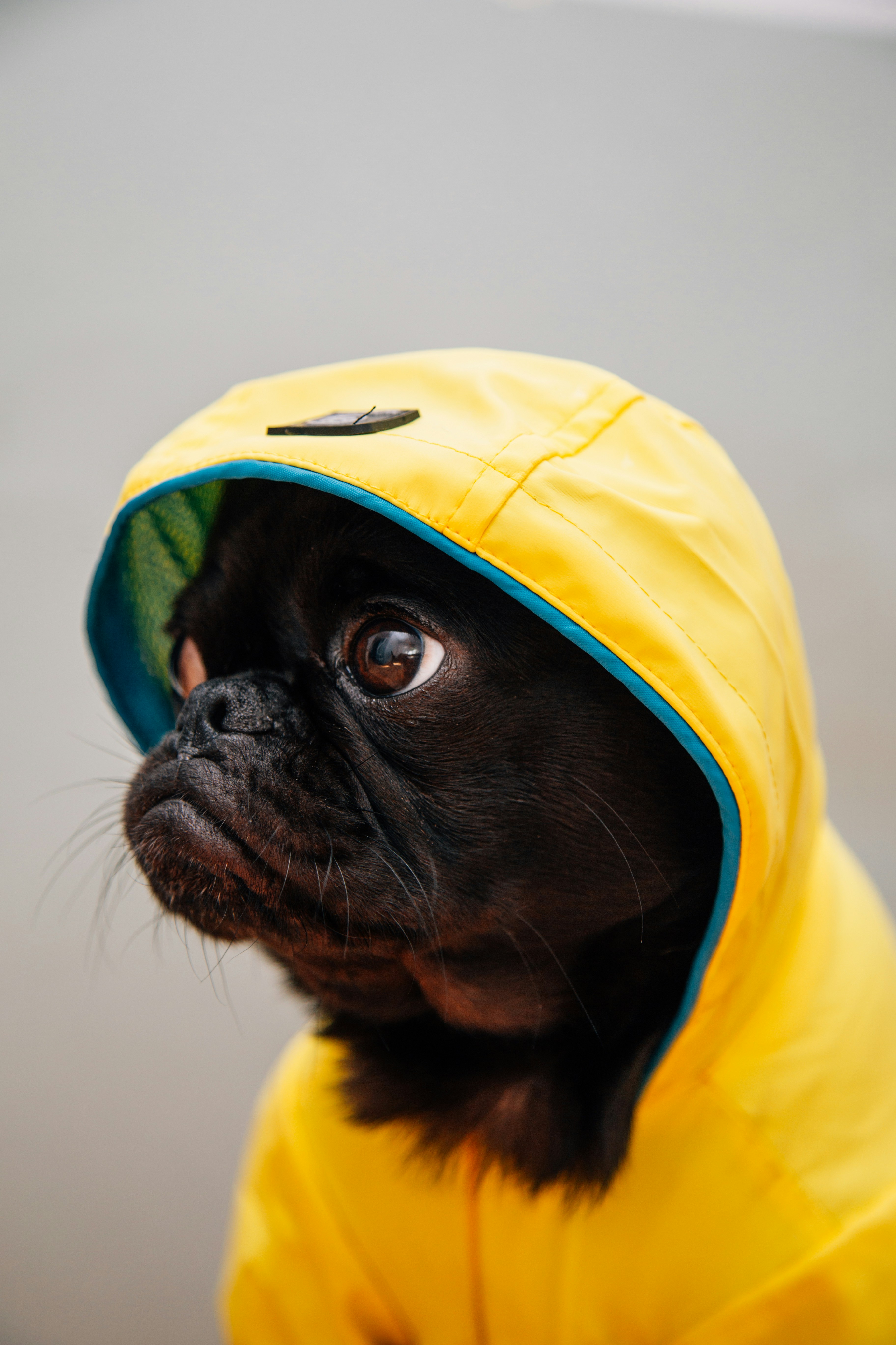 孕妇梦见来月经还看见血了?别慌!这可能是宝宝在悄悄给你发“安全信号”!