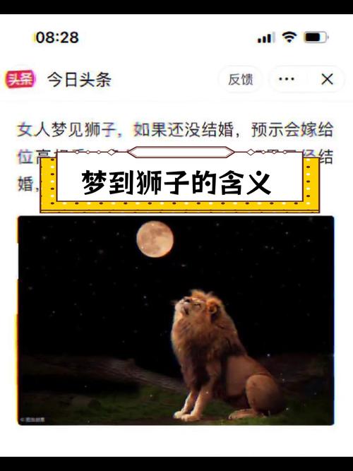 孕妇梦见狮子？别慌！这可能是宝宝在给你传递一个惊喜信号！