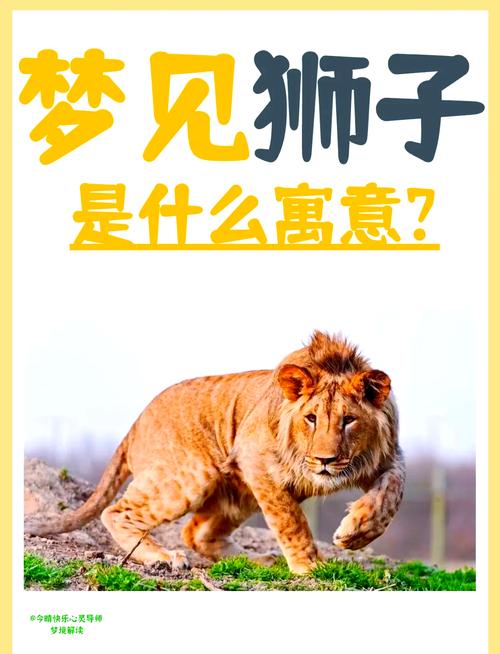孕妇梦见狮子?别慌!这可能是宝宝在给你传递一个惊喜信号!