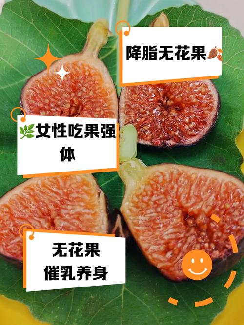 月经期间可以吃无花果吗?这个惊喜答案让你轻松度过那几天!