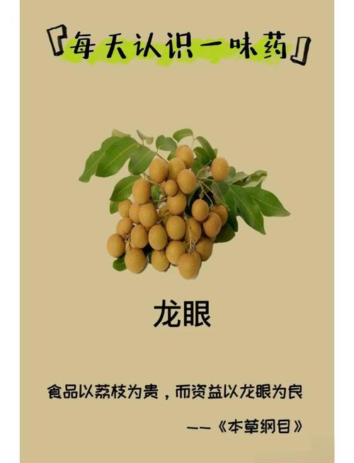 惊！经期能吃龙眼吗？这个甜蜜禁忌现在知道还不晚！