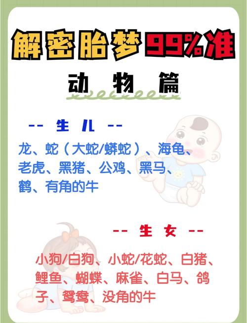 孕妇梦见老鼠是男是女？这个胎梦暗示太意外，准妈妈看完坐不住了！