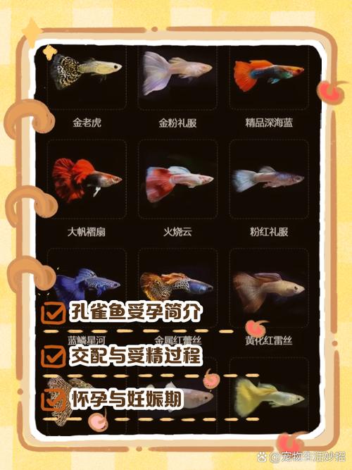 孕妇梦见鱼是男孩还是女孩？揭秘胎梦真相，结果让人惊喜又意外！