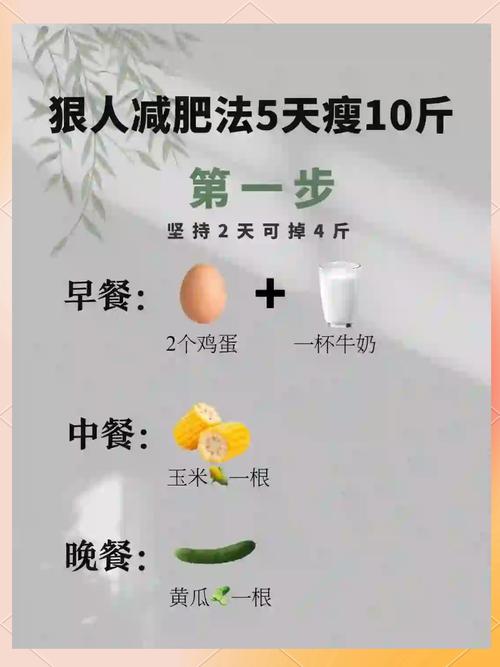 减肥最快的方法5天瘦十斤？这个秘密让我惊喜到尖叫！