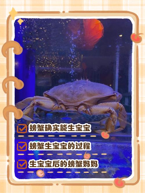 孕妇梦见螃蟹生男生女？这个胎梦暗示的惊喜结果你可能没想到！