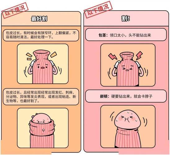 包皮过长会影响生育吗?别让这个小问题成为你当爸爸的“拦路虎”!