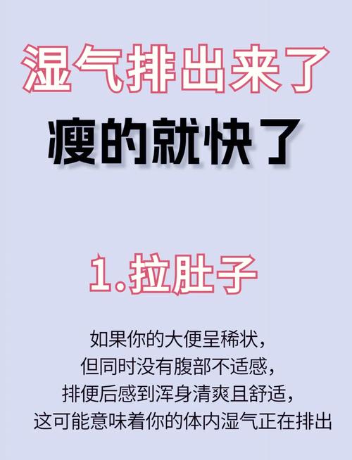 湿气重肚子大怎么排湿减肥?这招太绝了,轻松甩掉大肚腩!