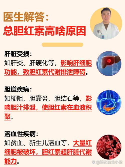 胆红素偏高的原因及危害,身体发出的这些“求救信号”你读懂了吗?