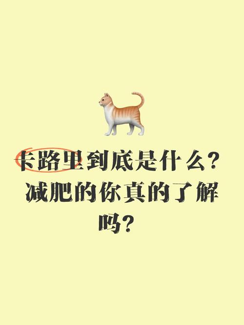 卡路里是什么?搞懂它,你的减肥就成功了一半!