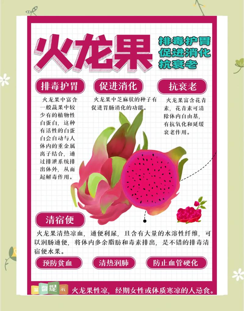 月经期间能吃火龙果吗?这几种好处让你惊喜又安心!