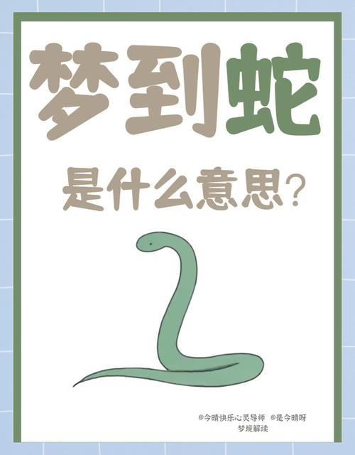 孕妇梦见很多蛇是什么意思?别慌!这可能是宝宝在给你发“惊喜信号”!