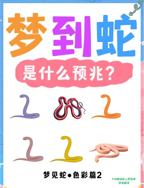 孕妇梦见很多蛇是什么意思?别慌!这可能是宝宝在给你发“惊喜信号”!