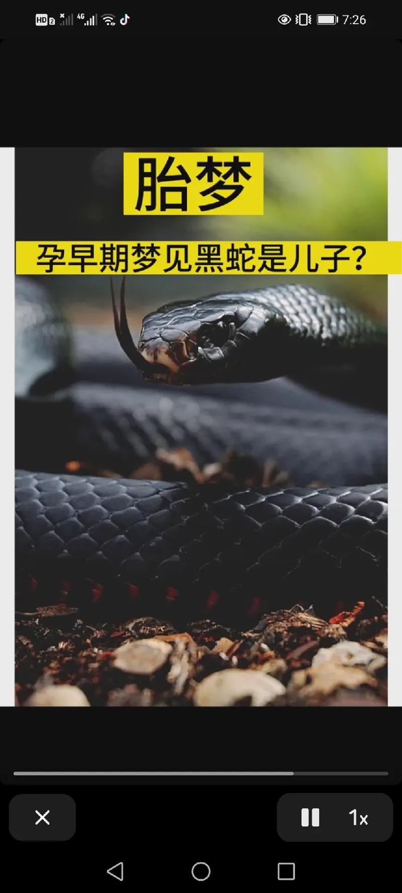 孕妇梦见黑色的蛇？别慌！这5个胎梦秘密孕妈一定要懂