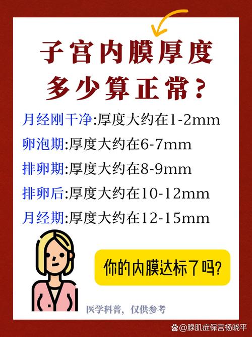 月经期内膜厚度多少正常?这个数字不对,当心身体亮红灯!