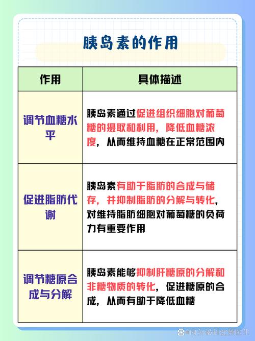 胰岛素的作用与危害:你的身体正在悄悄发生这些惊人变化!