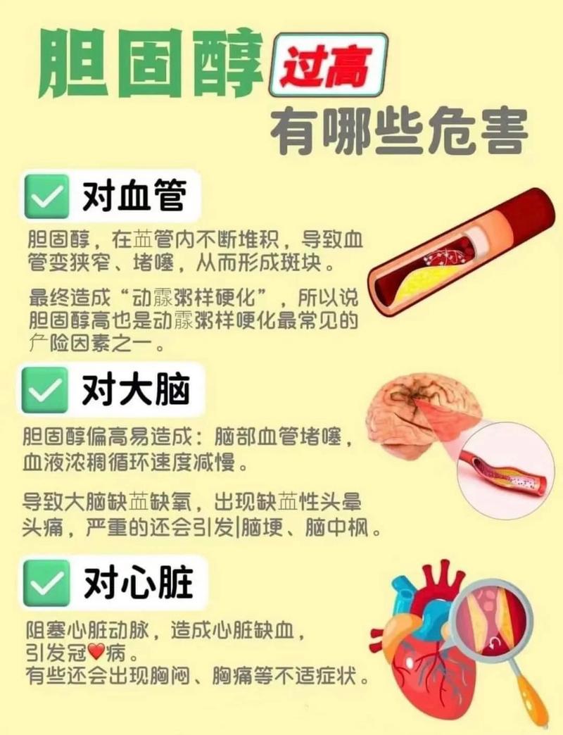 胆固醇高有什么危害？这5个后果你可能还不知道！