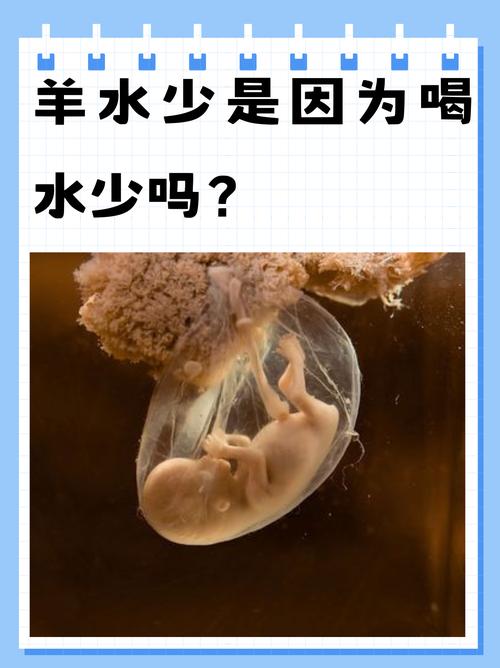 孕妇梦见泉水，是宝宝在传递健康信号吗？准妈妈必看！