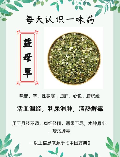 益母草月经期间可以喝吗？这几点不注意小心伤身体！