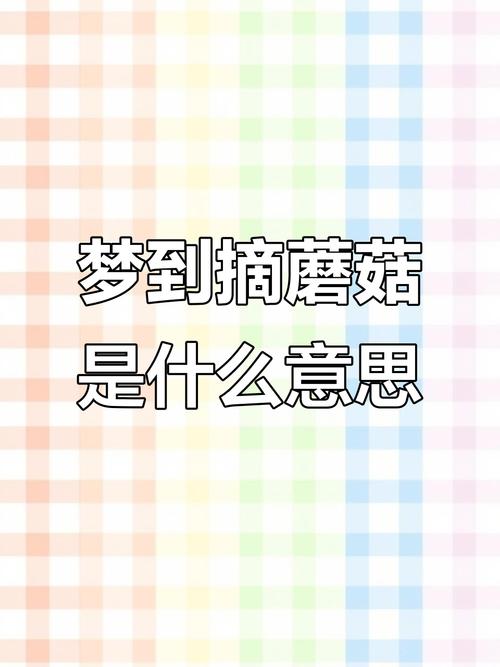 孕妇梦见捡蘑菇,是胎梦还是压力信号?这5种解读太准了!