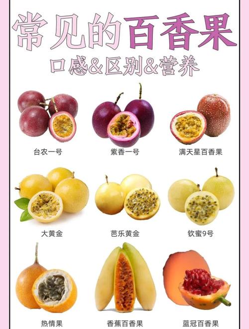 经期可以吃百香果吗?这5个惊喜好处让你迫不及待尝一口!