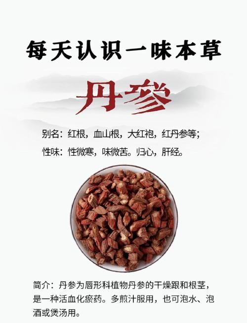 丹参的功效与作用：这5大好处让你血管年轻10岁！