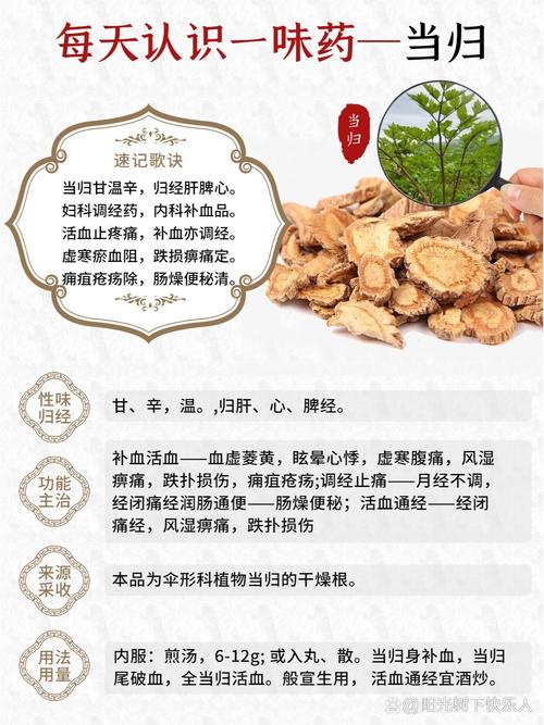 当归的功效与作用，每天吃一点，身体悄悄变惊喜！