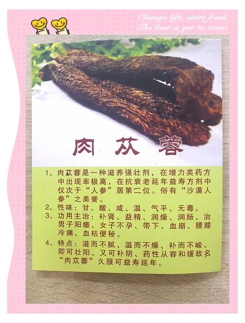 肉苁蓉的功效与作用，身体悄悄变好的惊喜信号你发现了吗？