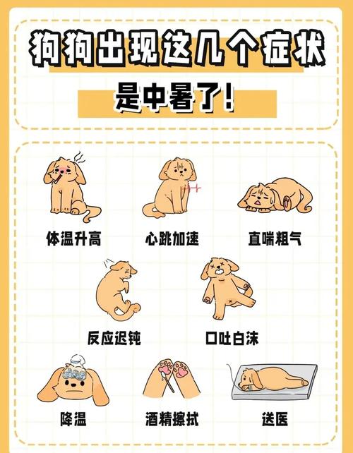 中暑会拉肚子吗?出现这些症状要当心,速看应对方法!