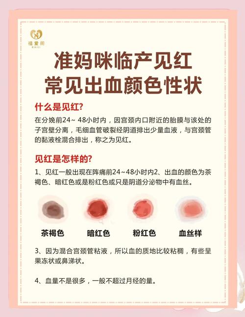 孕妇梦见红玫瑰？这可能是宝宝在悄悄传递重要信号！