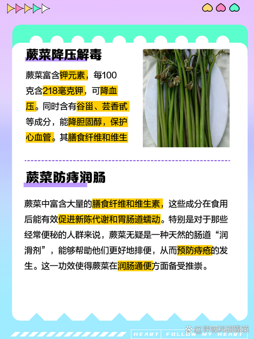 蕨菜的功效作用及危害:这些好处和风险你都知道吗?