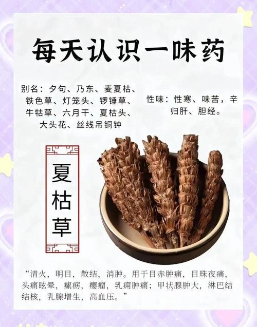 夏枯草的功效与作用,轻松降火护肝,身体悄悄变年轻!