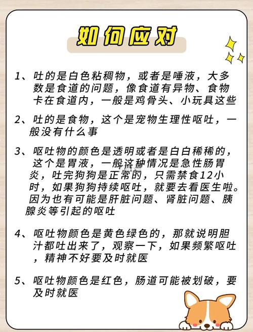 又拉肚子又吐是怎么回事？别慌！这5个原因和应对方法要记牢