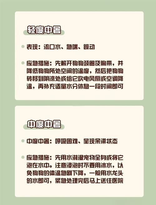 中暑拉肚子怎么办？这些急救妙招让你快速恢复元气！