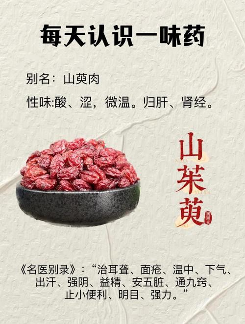 山茱萸的功效与作用，每天吃一点，身体竟然有这些神奇变化！