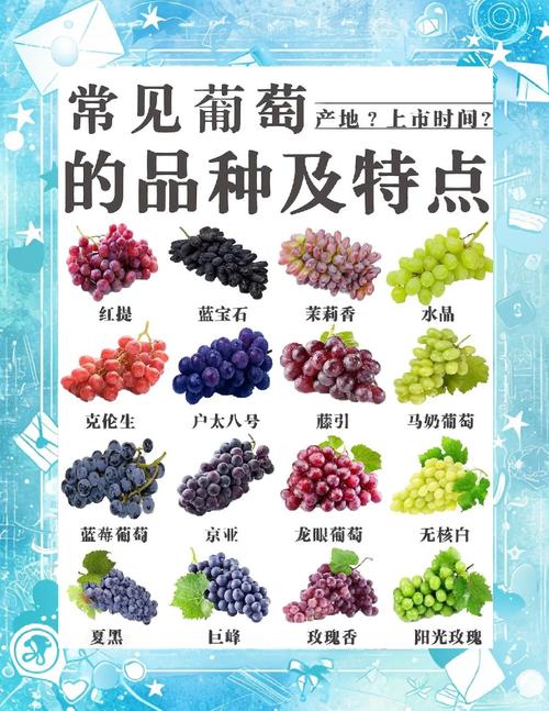 拉肚子可以吃葡萄吗？营养师提醒：这3类人千万别碰，小心越吃越严重！