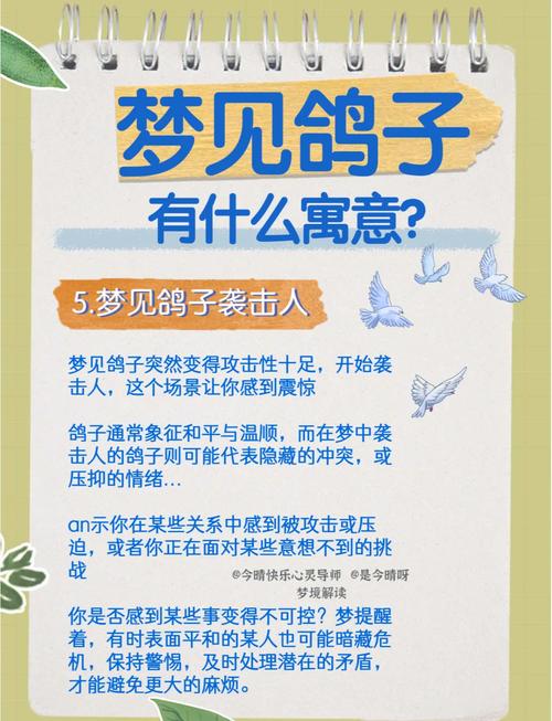 孕妇梦见抓鸟，是胎梦还是压力信号？这3个解读太准了！