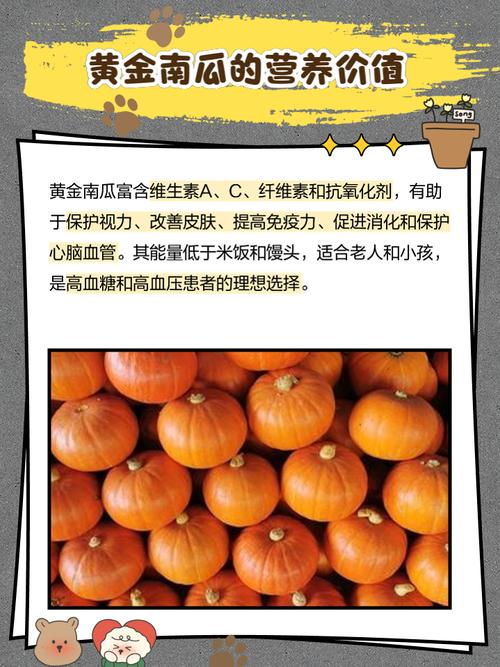 拉肚子可以吃南瓜吗？这些“黄金吃法”帮你快速止泻！