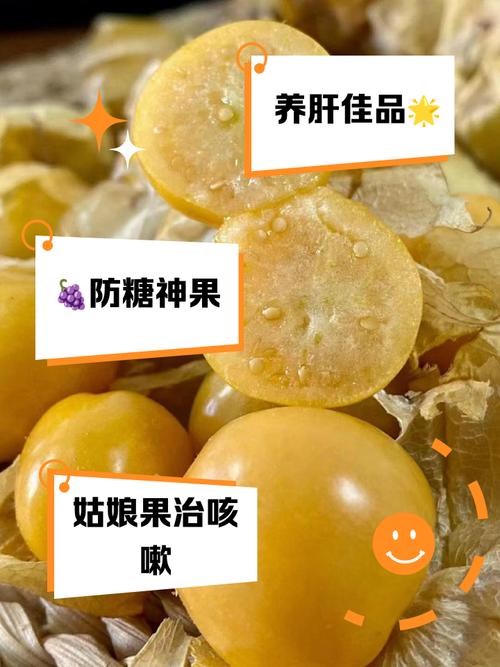 姑娘果的功效与作用，每天吃几颗身体竟有这些惊喜变化！