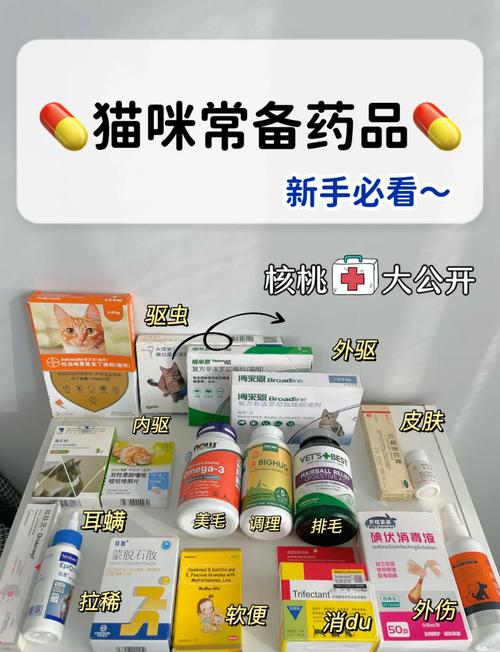 小猫拉肚子吃什么药管用？铲屎官必看的安全用药指南