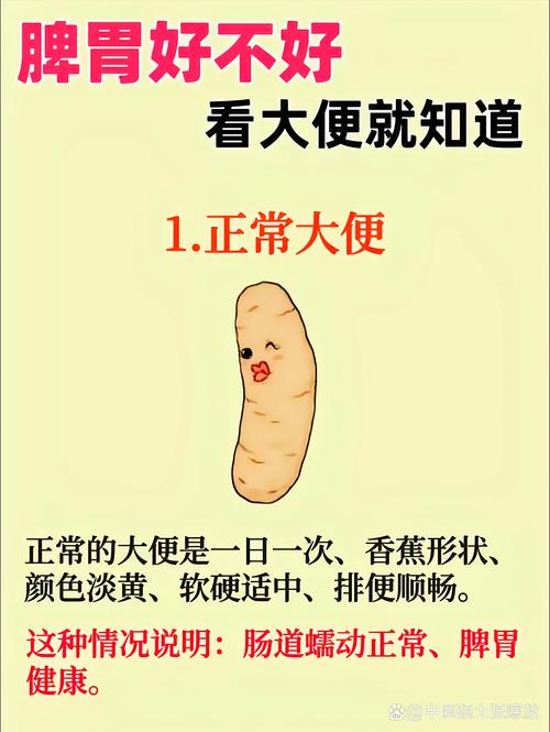 大便稀但不是拉肚子?别大意!可能是身体在“求救”的5个信号
