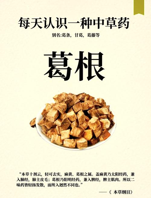 葛根的功效与作用的功能与主治，身体悄悄发生的5个惊喜变化！