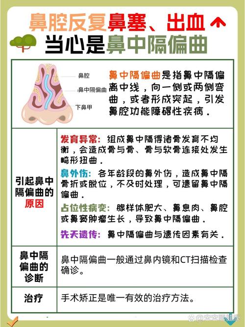 鼻中隔偏曲的危害有多大?别让“歪鼻子”悄悄偷走你的健康和好睡眠!