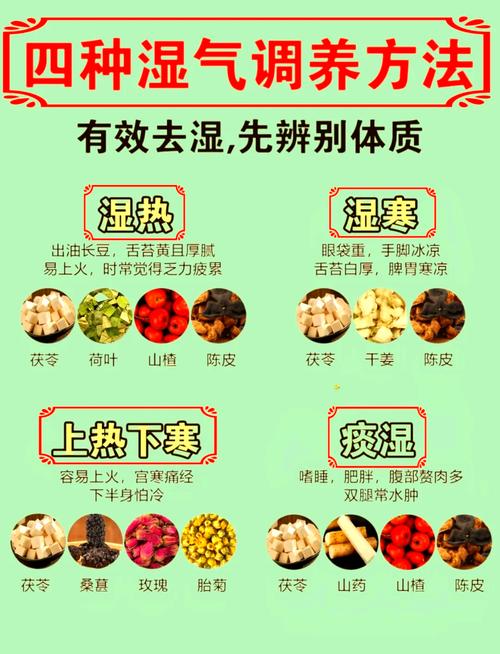 减肥除湿方法大揭秘：轻松甩掉赘肉、赶走湿气，身体清爽一整年！