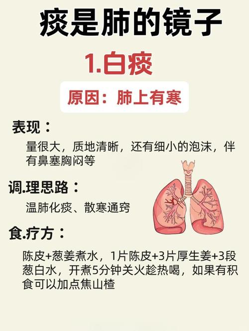 咳嗽有白痰一直不好是什么原因？专家揭秘背后隐藏的健康信号