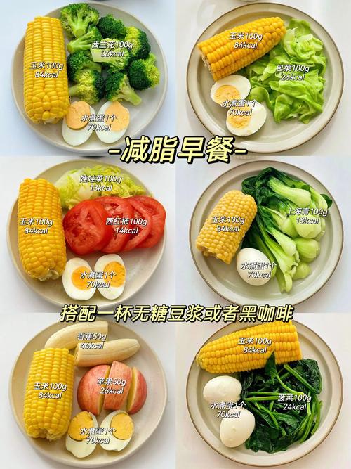减肥一日三餐的食谱：照着吃就能瘦，告别挨饿轻松掉秤！