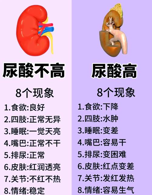 尿酸高的危害，这些身体信号你注意到了吗？