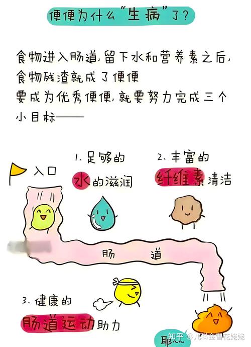 经常拉肚子大便不成形？别慌！6个调理小妙招让肠道悄悄变“乖”