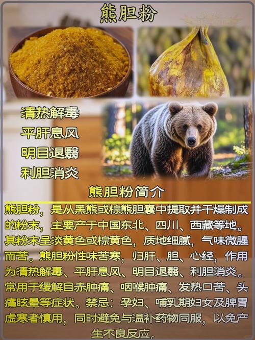 熊胆粉的功效与作用，轻松掌握这几点，让健康悄悄升级！
