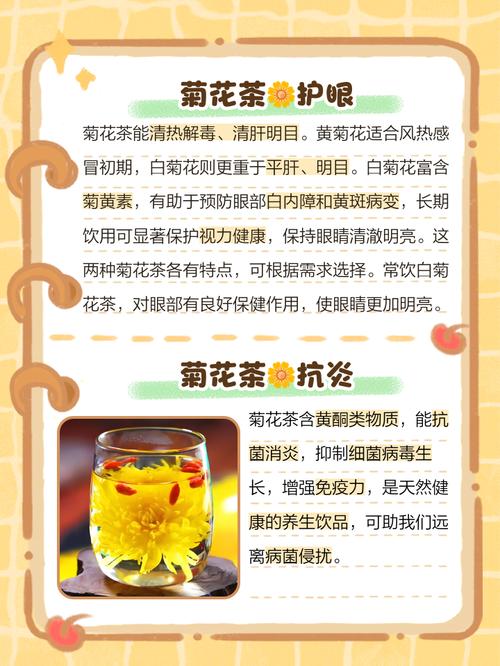 菊花茶的功效与作用，每天一杯身体竟有这些惊喜变化！