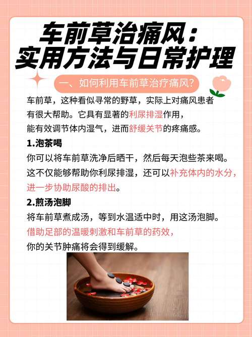 车前草治痛风吗？这个天然小秘方让你告别疼痛，轻松自在！